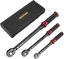 Aeroforce Professional Tools Drehmomentschlüssel-Set 3tlg