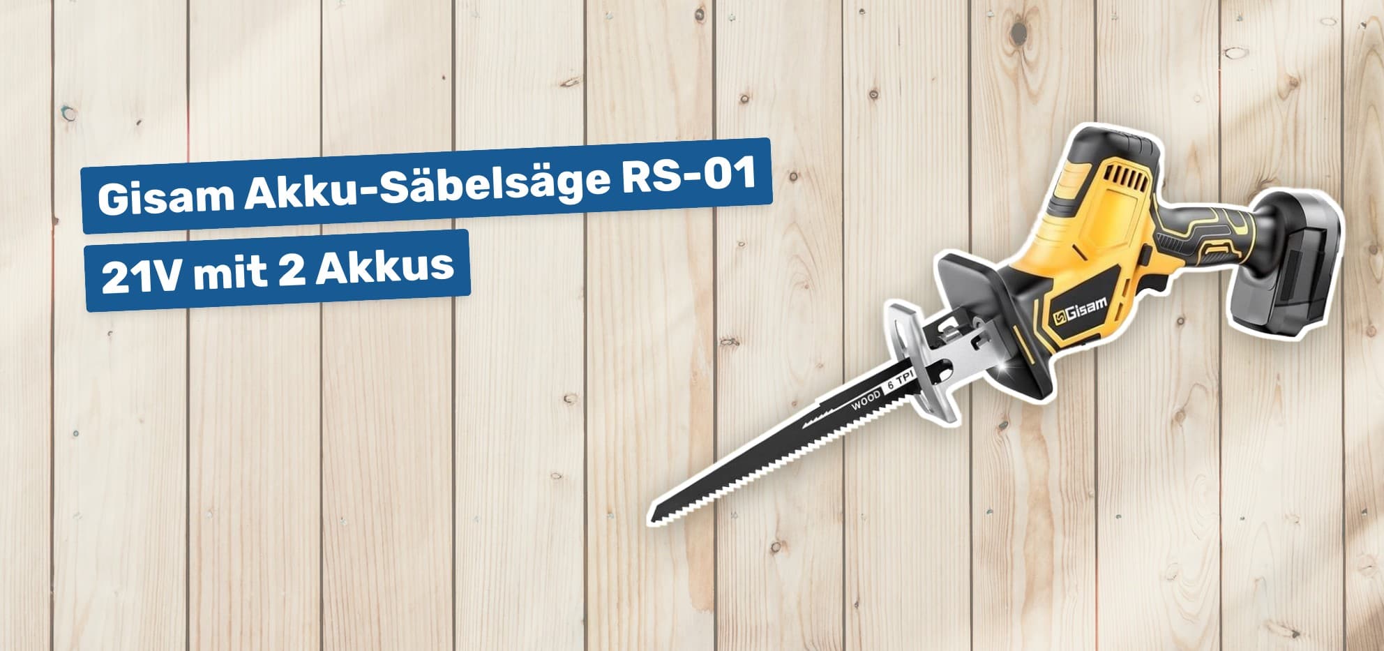 Gisam Akku-Säbelsäge RS-01 21V mit 2 Akkus