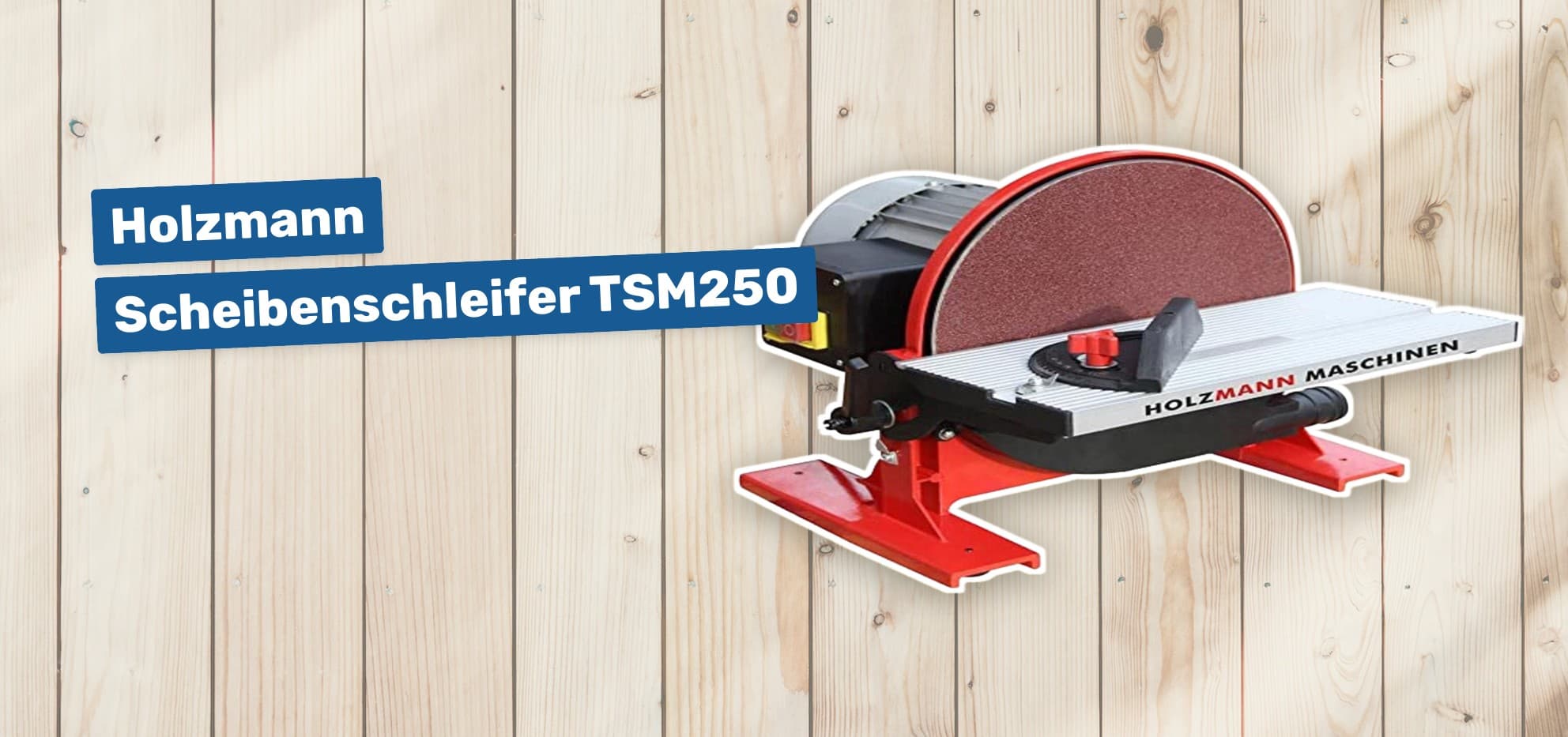 Holzmann Scheibenschleifer TSM250