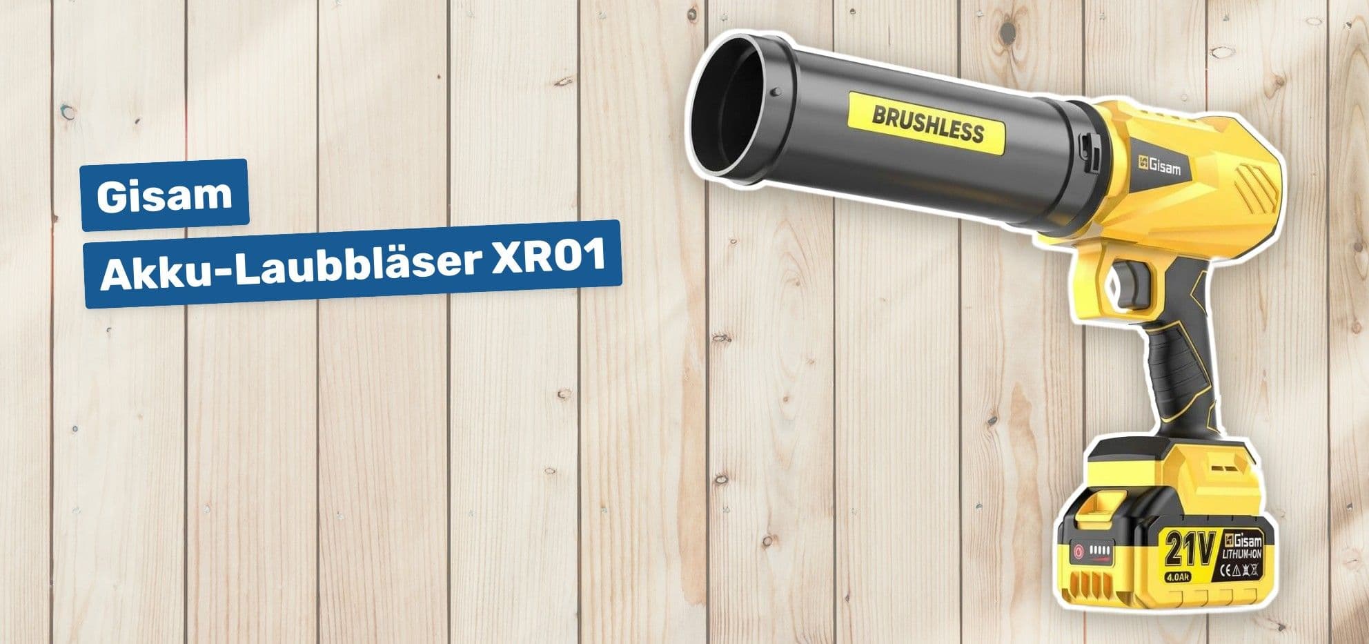 Gisam Akku-Laubbläser XR01